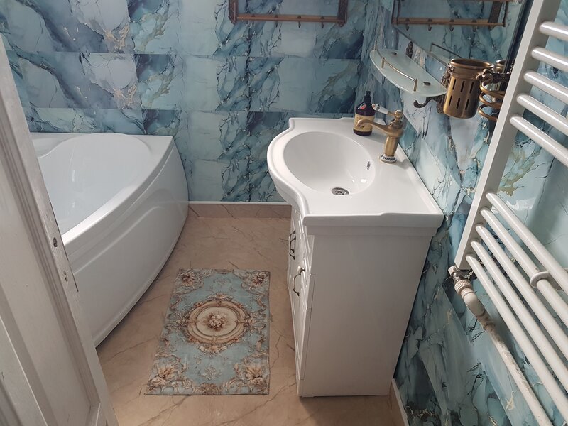 Parc Carol, Unirii- Tineretului ap. 5 camere de inchiriat in vila et 2