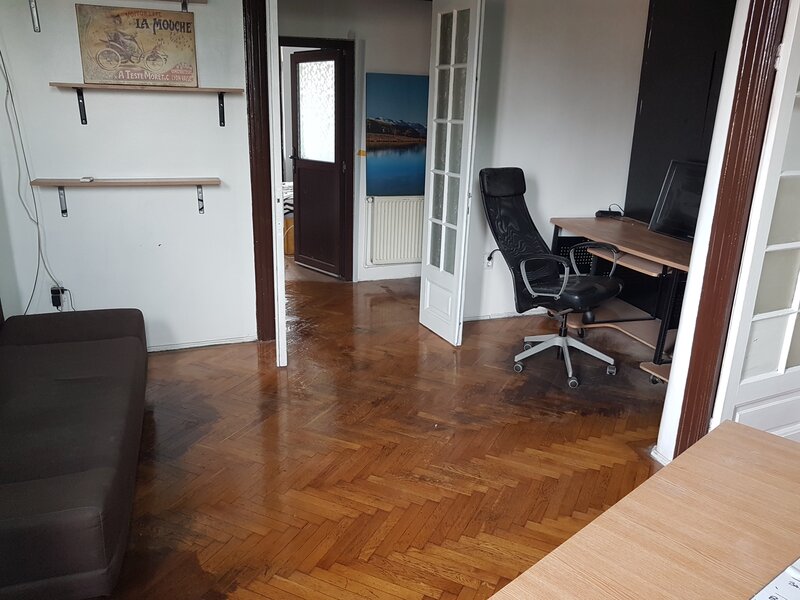 Parc Carol, Unirii- Tineretului ap. 5 camere de inchiriat in vila et 2