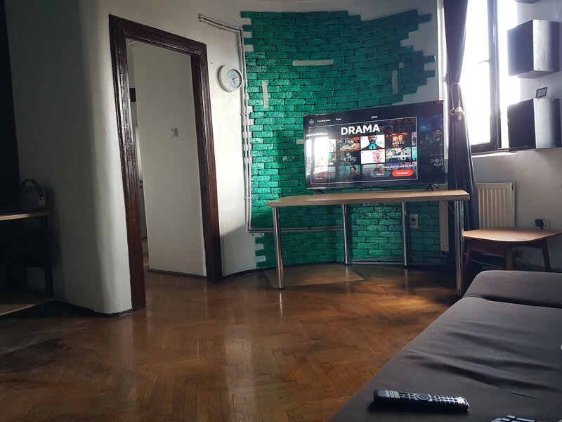 Parc Carol, Unirii- Tineretului ap. 5 camere de inchiriat in vila et 2