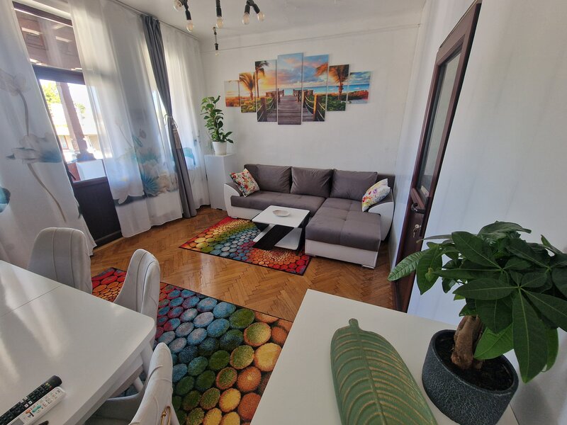 Parc Carol, Unirii- Tineretului ap. 5 camere de inchiriat in vila et 2