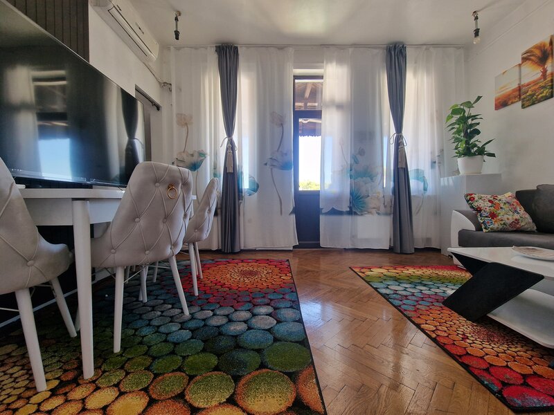 Parc Carol, Unirii- Tineretului ap. 5 camere de inchiriat in vila et 2